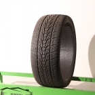 Nexen RoadiaHP