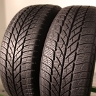 Gislaved Euro Frost 5