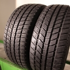 Roadstone Euro Win 550