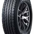 Nexen ROADIANAT [DOT21]