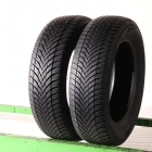 Toyo CELSIUS AS2
