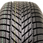 Dunlop WINTER