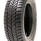 Maxxis Arctic Trekker WP05