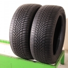 Firestone Multiseason