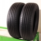 Gremax CAPTURAR CF19