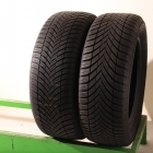 Toyo CELSIUS AS2