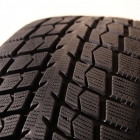 GreenMax Winter Ice I-15