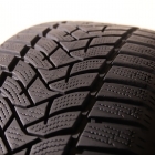 Dunlop Winter Sport 5