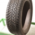 Goodyear UltraGrip Performance 2