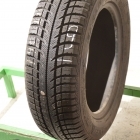 Goodyear Eagle Vector