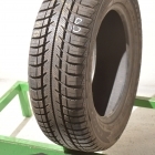 Goodyear Eagle Vector