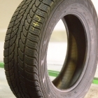 Rockstone Eco Snow SUV