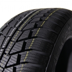 Gislaved EUROFROST 6