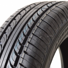 Austone SP801 (EV Ready)