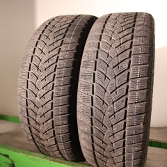 Goodyear UltraGrip Performance G1