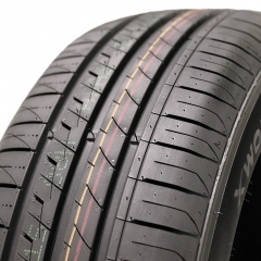 Tourador X Wonder TH2