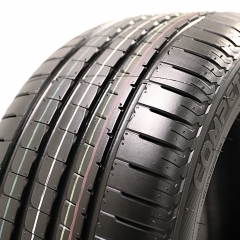 Lassa Competus H/P 2 DOT2022