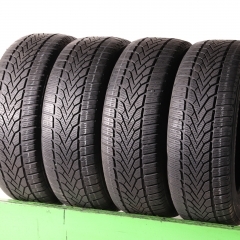 Semperit Speed Grip 2
