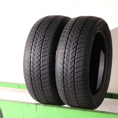 Triangle TW401