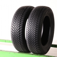 Toyo CELSIUS AS2