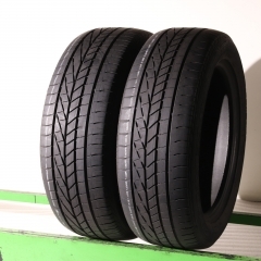 Goodyear Excellence