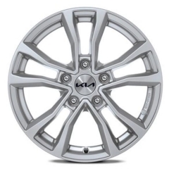 Xtreme 5 double spokes Silver