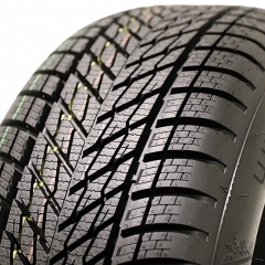 Dunlop WINTER