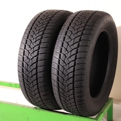 Dunlop Winter Sport 5 SUV