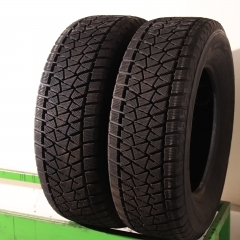 Bridgestone Blizzak DM-V2