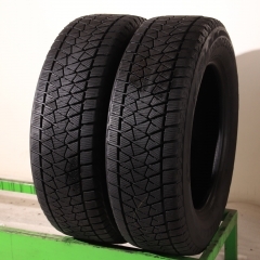 Bridgestone Blizzak DM-V2