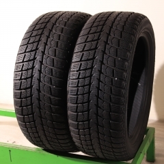 GreenMax Winter Ice I-15