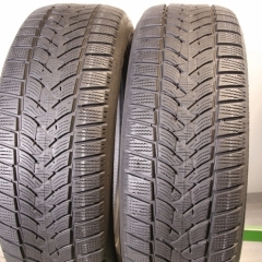 Dunlop Winter Sport 5 summer
