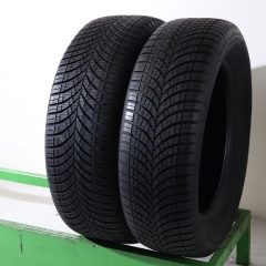 Goodyear Vector 4Seasons G3