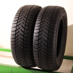 Maxxis ALL SEASON AP2