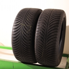 Goodyear Vector 4Seasons G2