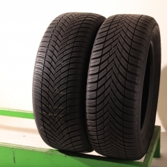 Toyo CELSIUS AS2