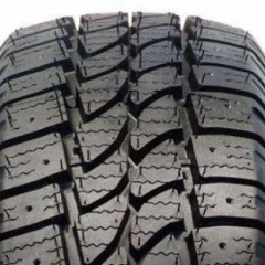 Tigar Cargo Speed Winter