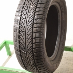 Goodyear UltraGrip 8 Performance