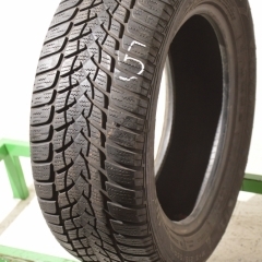 Goodyear UltraGrip Performance 2