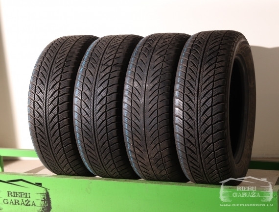 Goodyear UltraGrip Performance 2