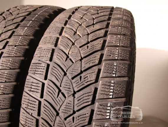 Goodyear UltraGrip Performance G1