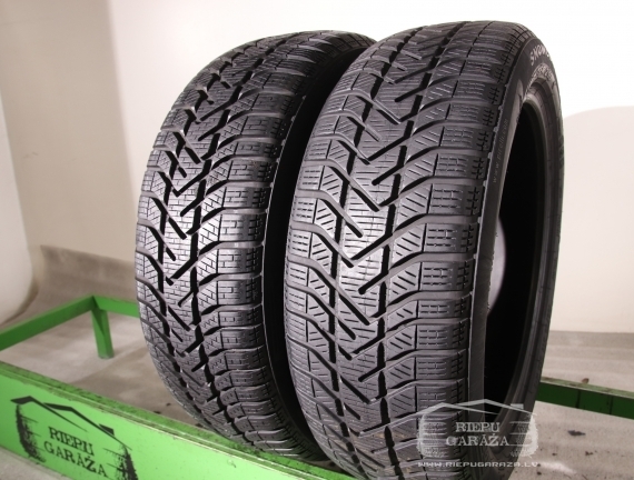 Pirelli Snowcontrol Winter 210 S3
