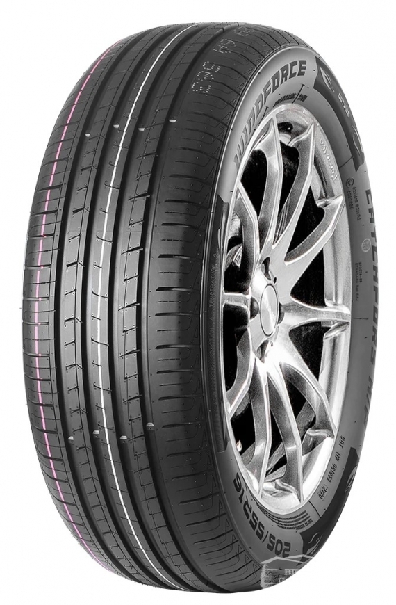 Windforce CATCHFORS H/P (DOT2023)
