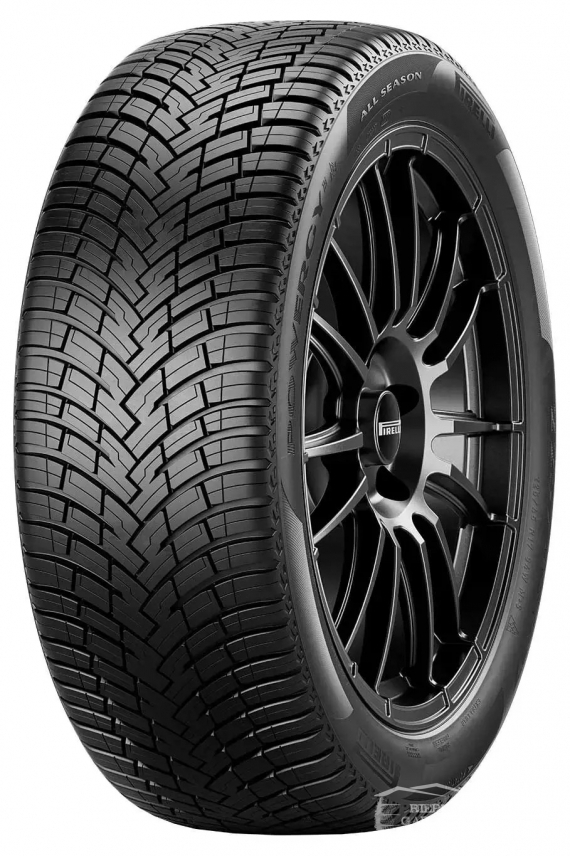 Pirelli POWERGY AS