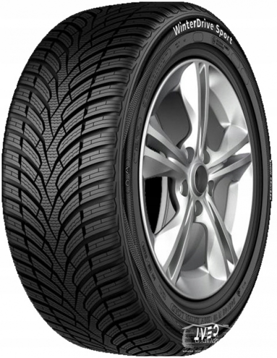 Ceat WINTER DRIVE SPORT