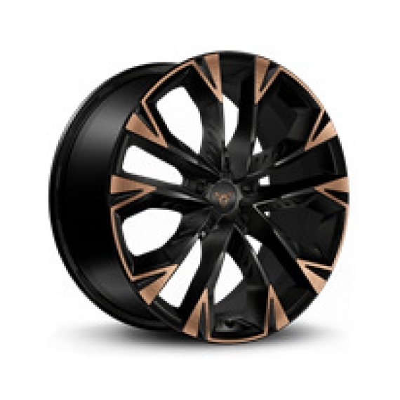 R19 x 8J 5x112