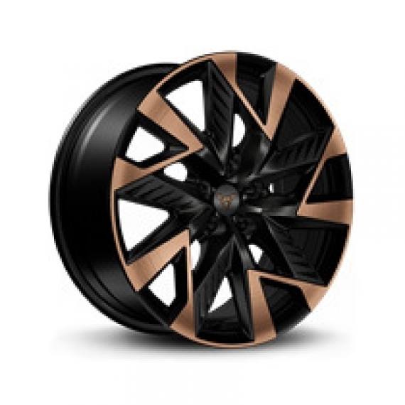 R19 x 8J 5x112