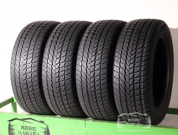 Nexen WinGuard SUV