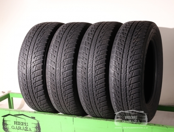 Nokian WR SUV 3 summer