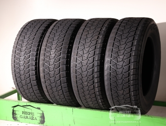 Bridgestone Blizzak DM-V2